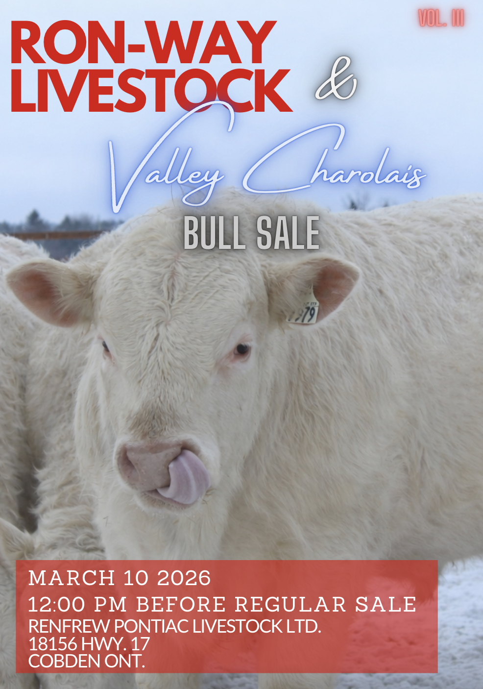 Ron-way Livestock and Valley Charolais Bull Sale - Cobden