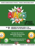 Mega Bingo