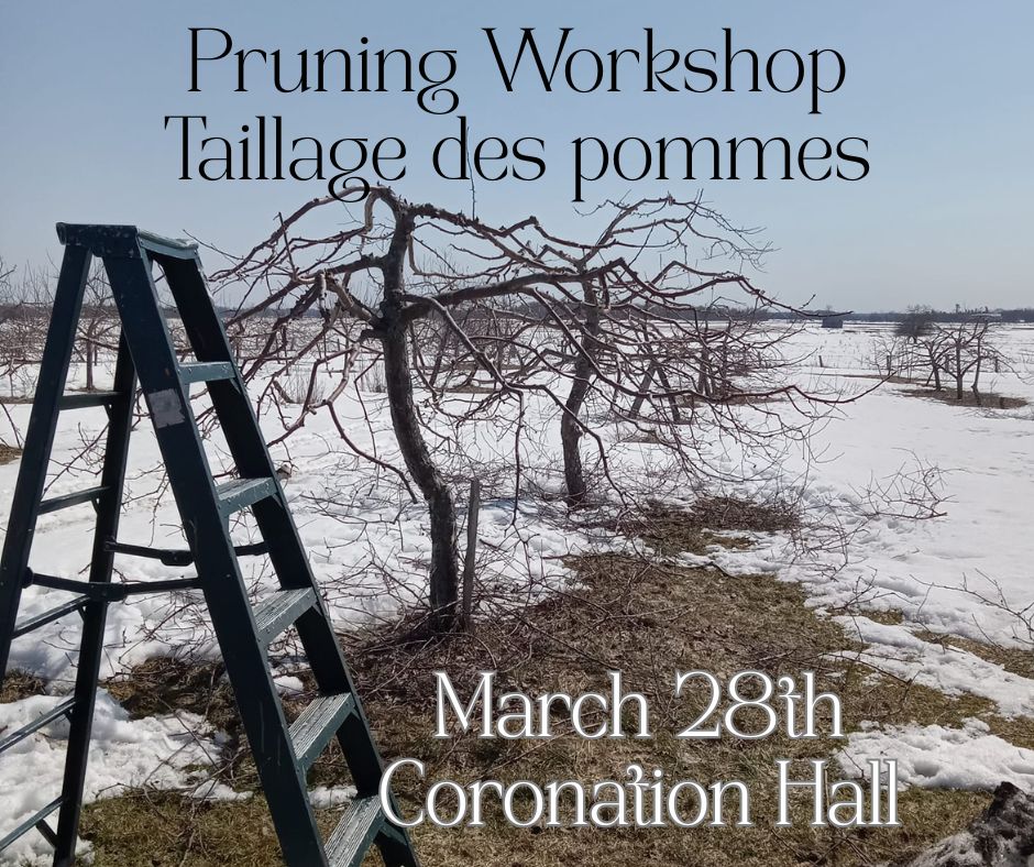 Coronation Hall Pruning Workshop - Bristol