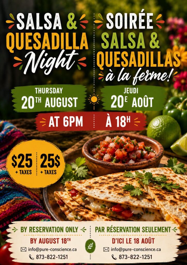 Soirée Salsa & Quesadilla Night