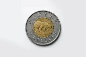 Toonie